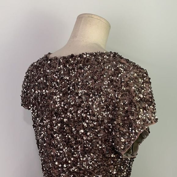 Parker NWT Silver Sequined Dress