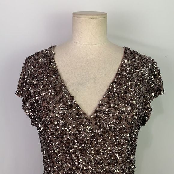 Parker NWT Silver Sequined Dress