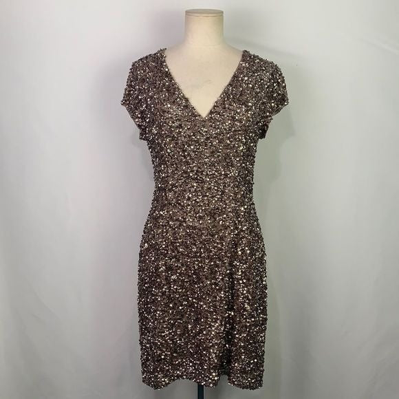 Parker NWT Silver Sequined Dress