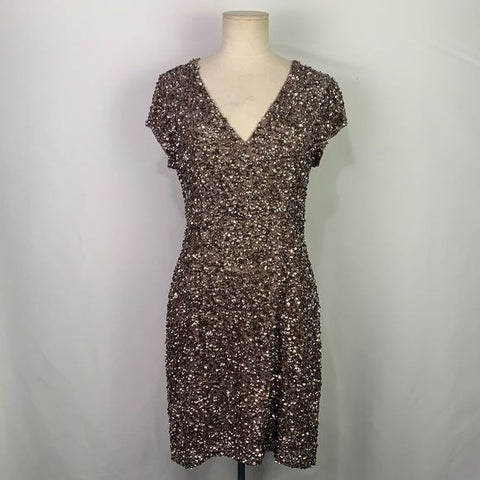Parker NWT Silver Sequined Dress