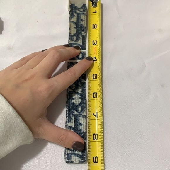 Christian Dior logo strap blue/pink watch