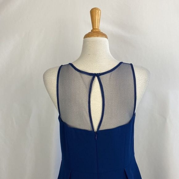 That Look Navy Midi Dress w/ Sheer Panels